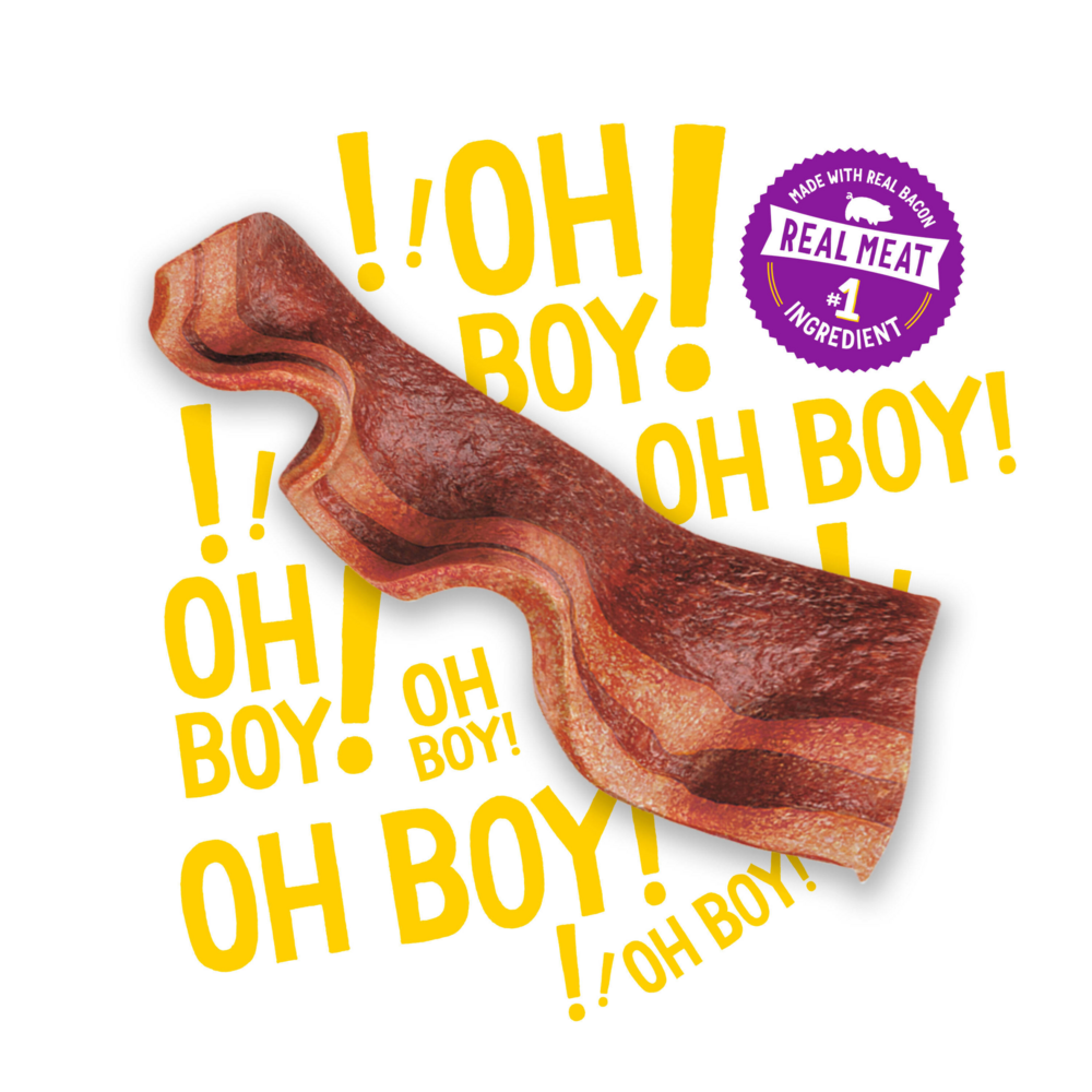 Beggin Strips' Strips Bacon Dog Treats