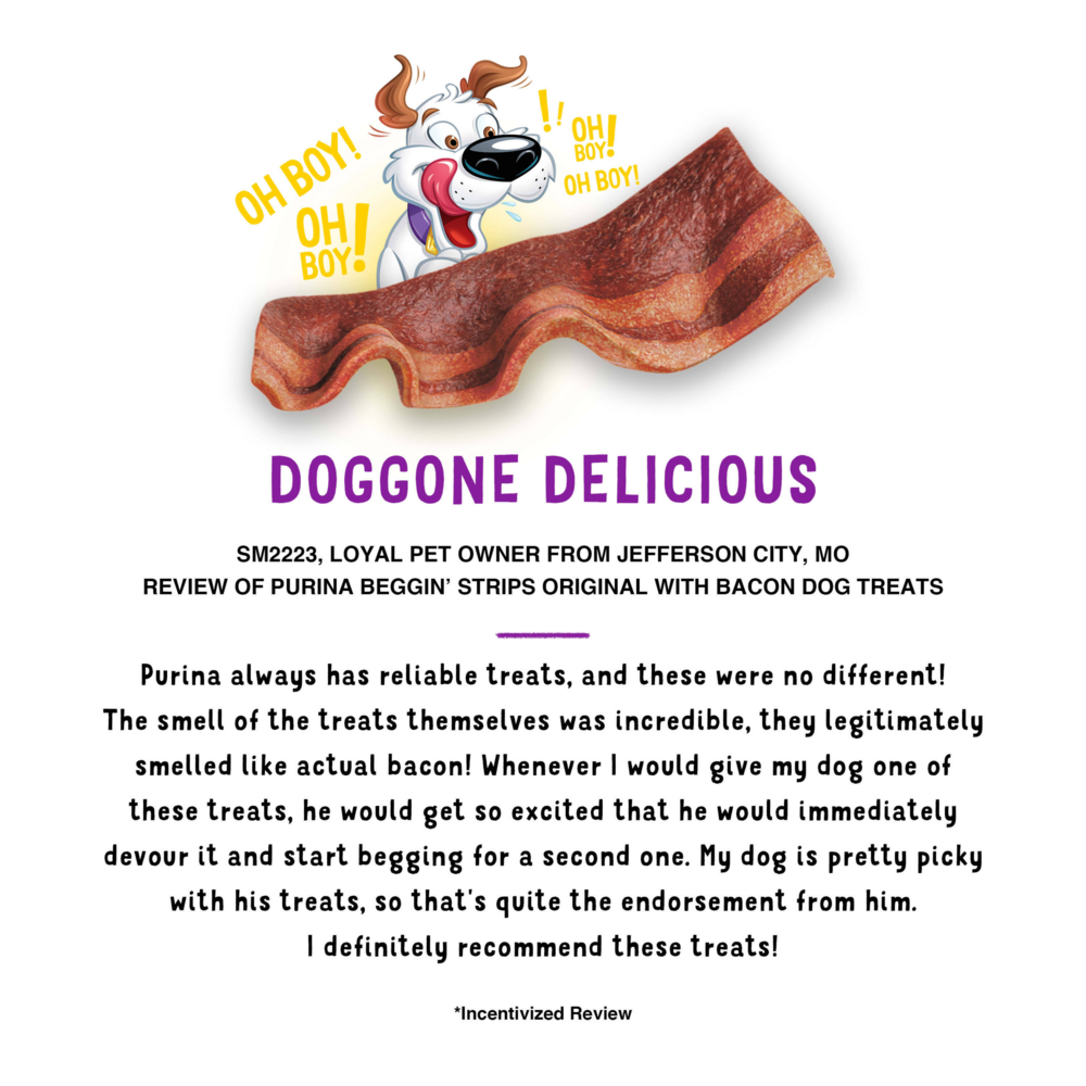 Beggin Strips' Strips Bacon Dog Treats