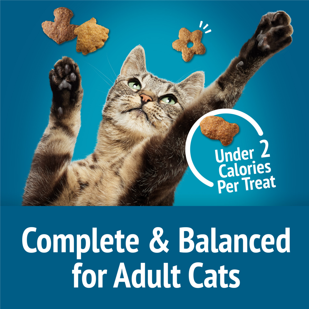 Friskies Party Mix Beachside Crunch Cat Treats