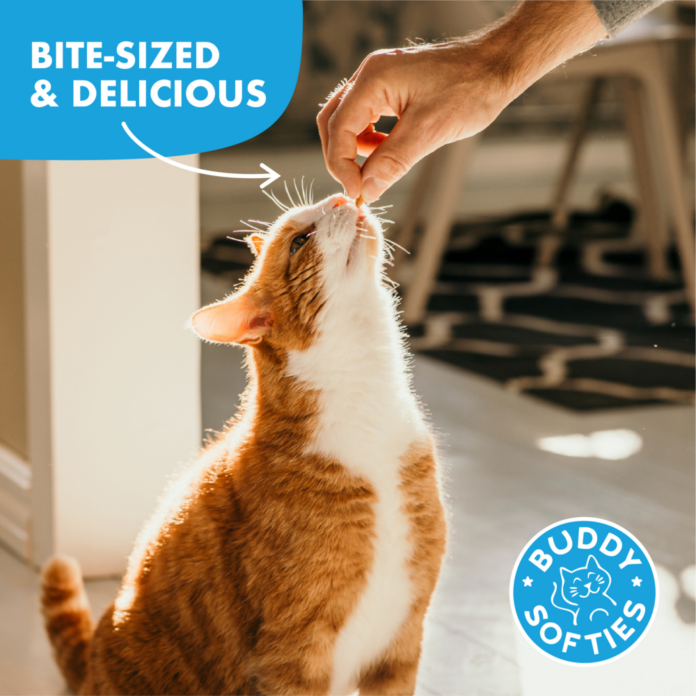 Buddy Biscuits Soft & Chewy Grain Free Chicken Cat Treats