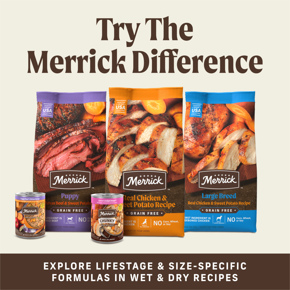 Merrick Power Bites Texas Beef Dog Treats
