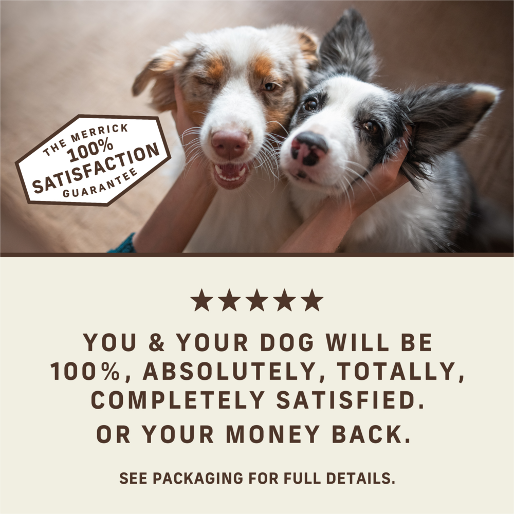Merrick Power Bites Texas Beef Dog Treats