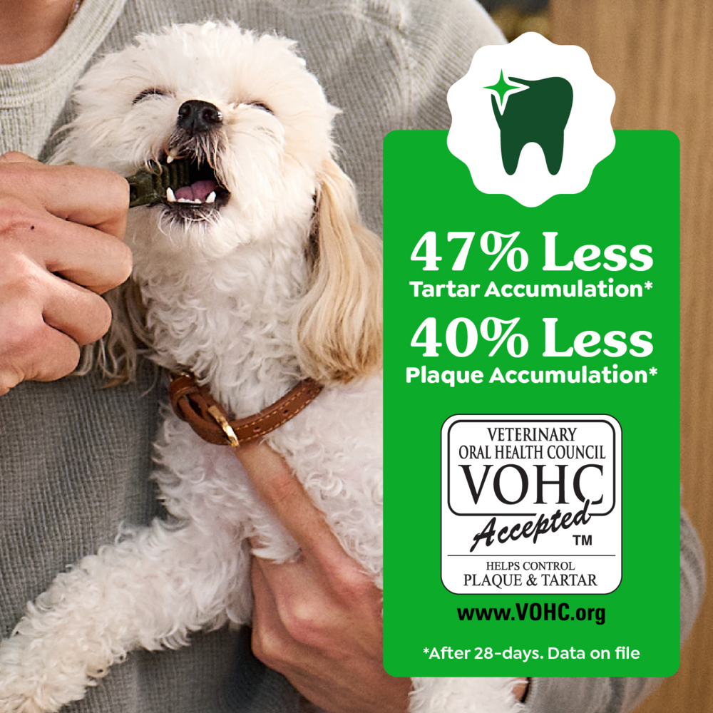 Greenies Teenie Blueberry Dental Dog Chews