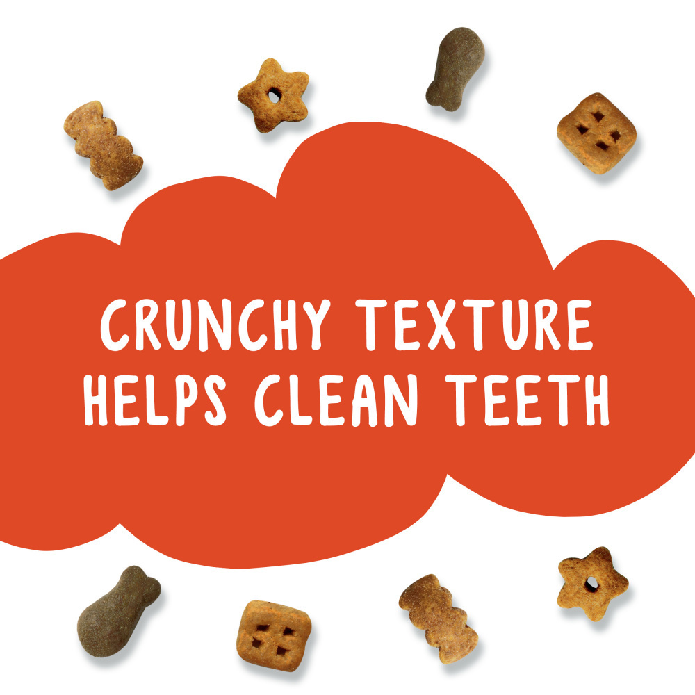 Friskies Party Mix Crunch Original Chicken Liver and Turkey Cat Treats Canister