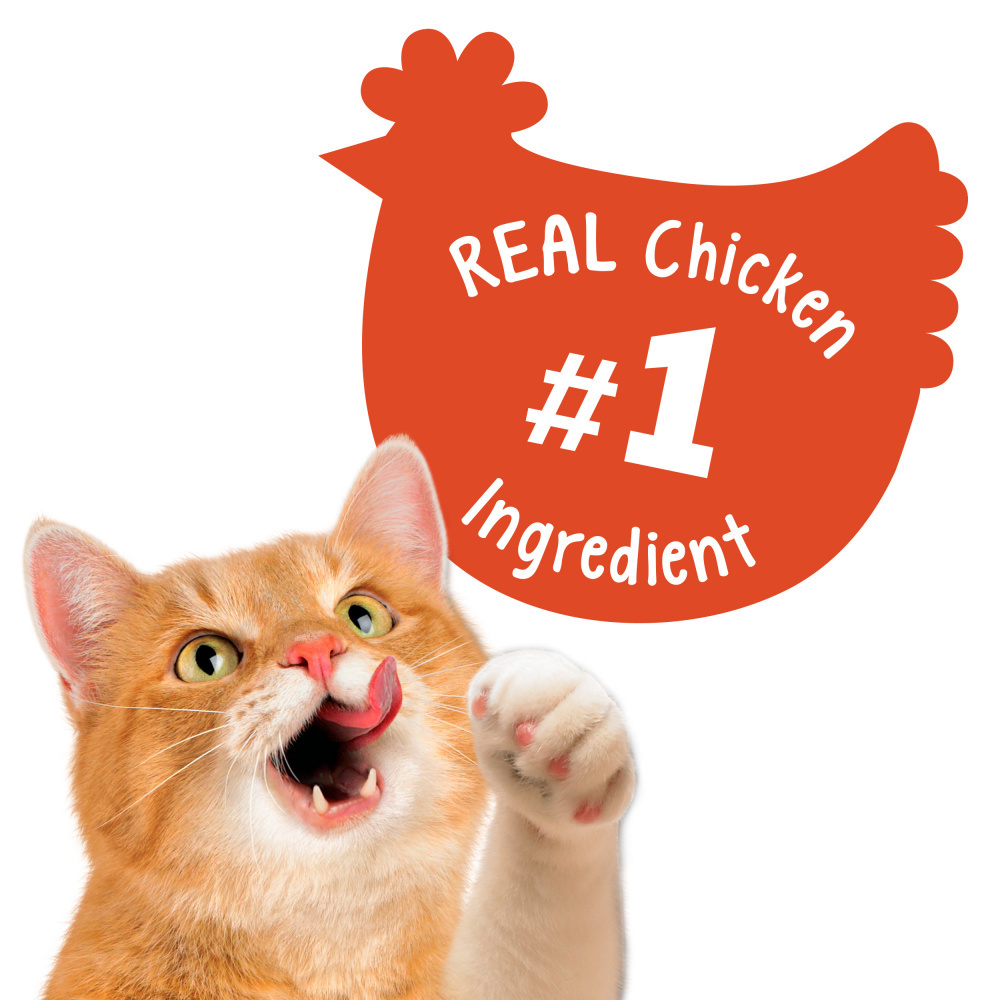 Friskies Party Mix Crunch Original Chicken Liver and Turkey Cat Treats Canister