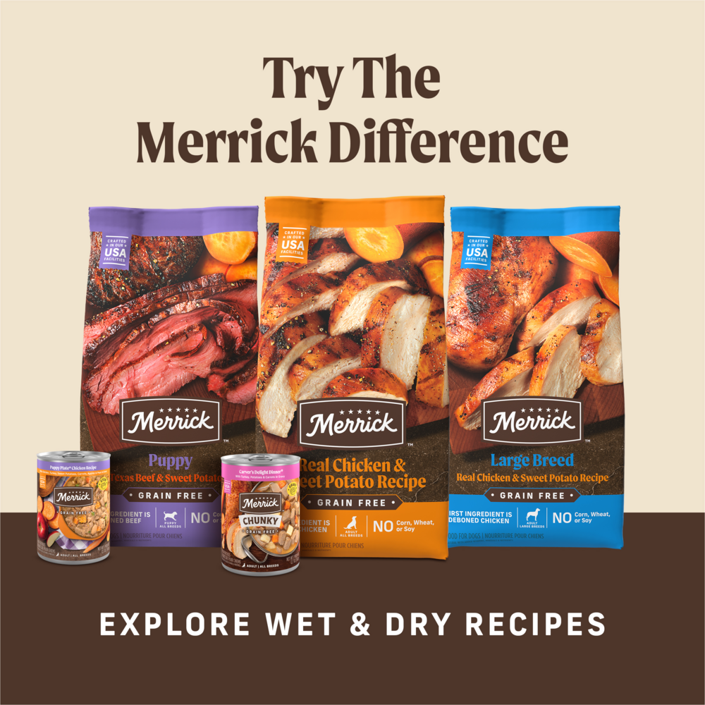 Merrick Grammy's Chicken Pot Pie Oven Baked Dog Treats