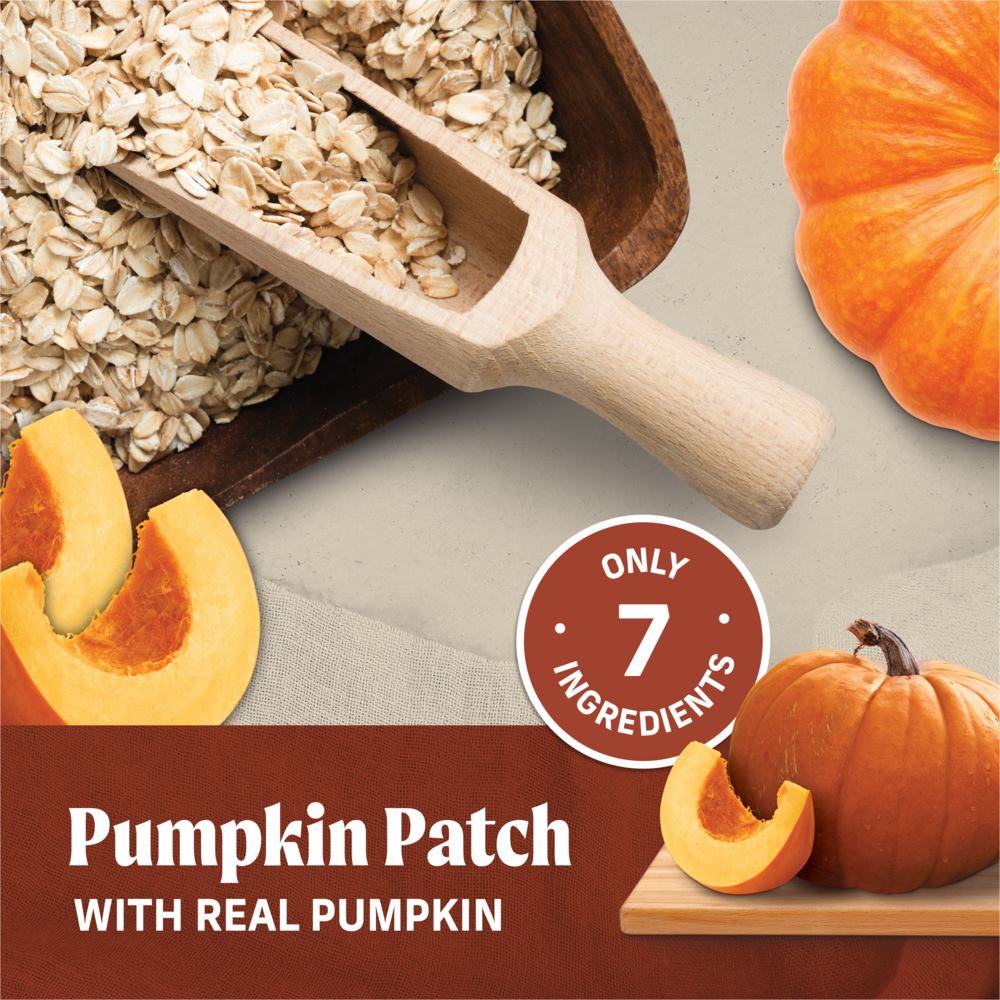 Merrick Pumpkin Patch Oven Baked Dog Treats