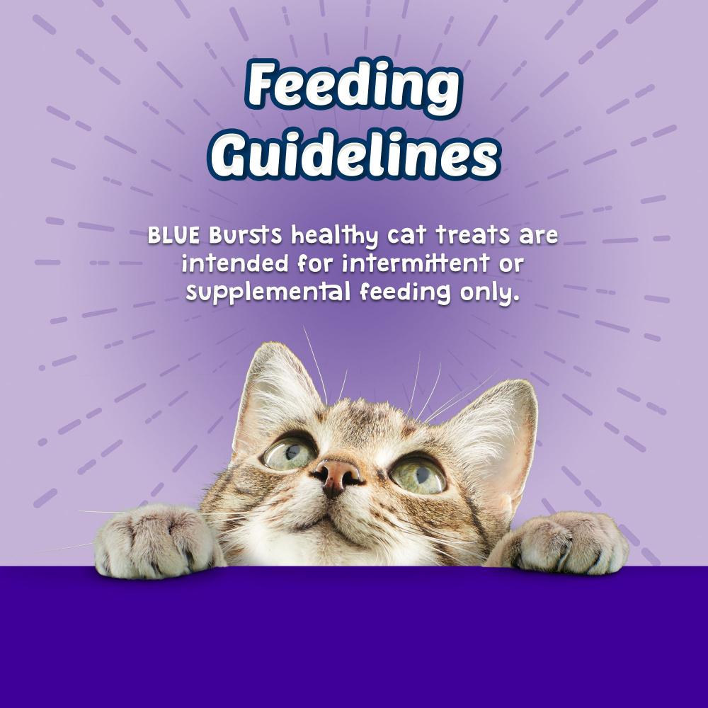 Blue Buffalo Bursts Filled Chicken Liver & Beef Cat Treats