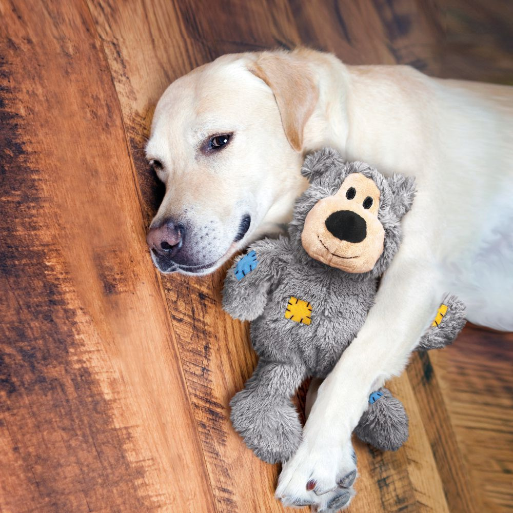 Kong Wild Knots Bear Hearts Dog Toy