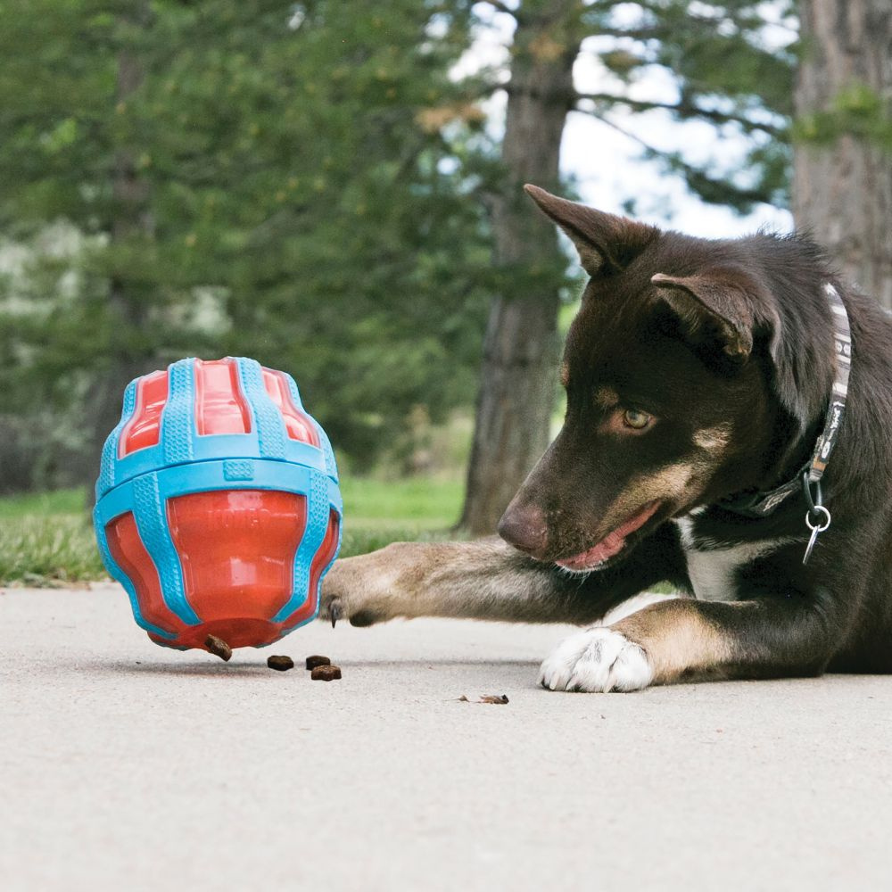 KONG Treat Spinner Dog Toy