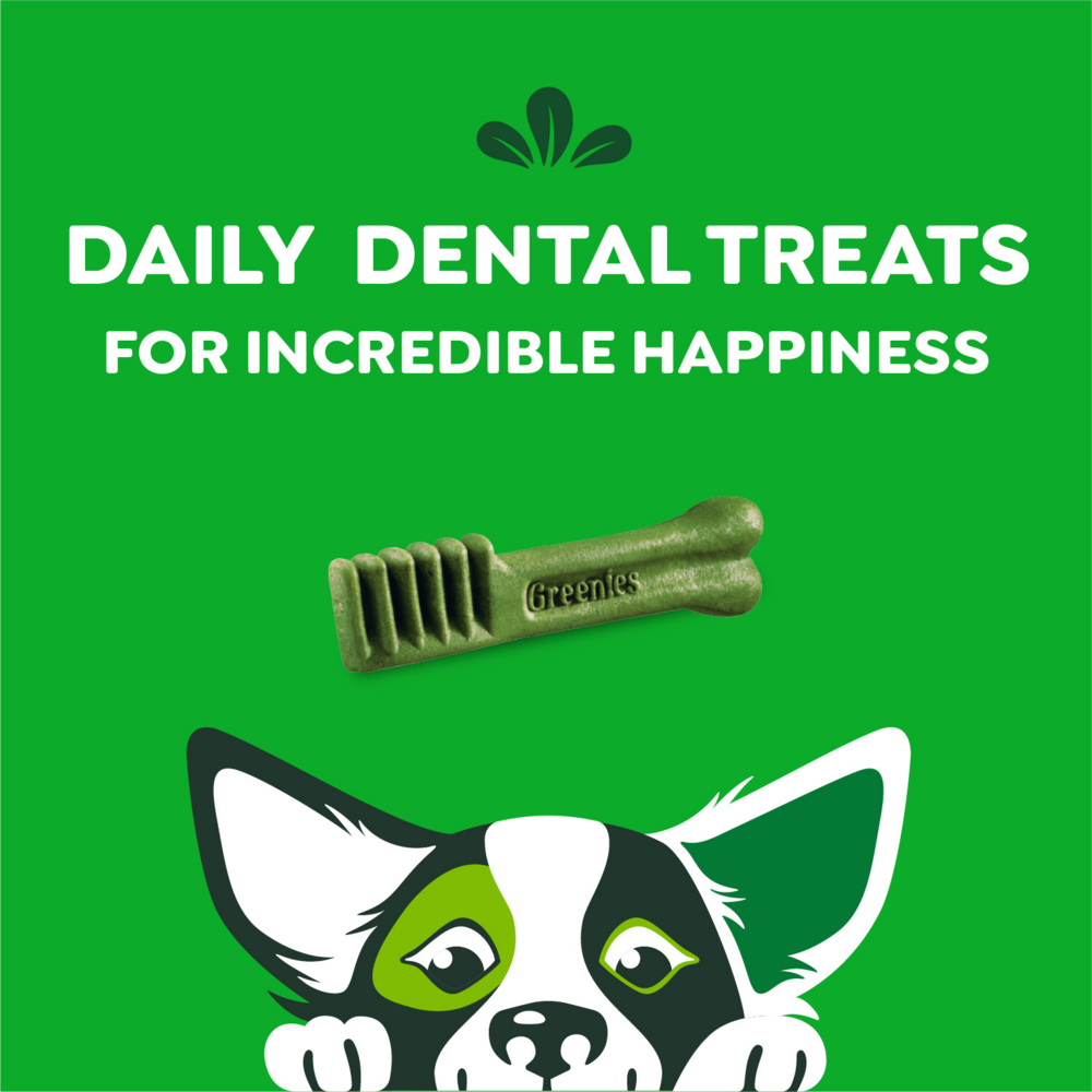 Greenies Petite Original Dental Dog Chews