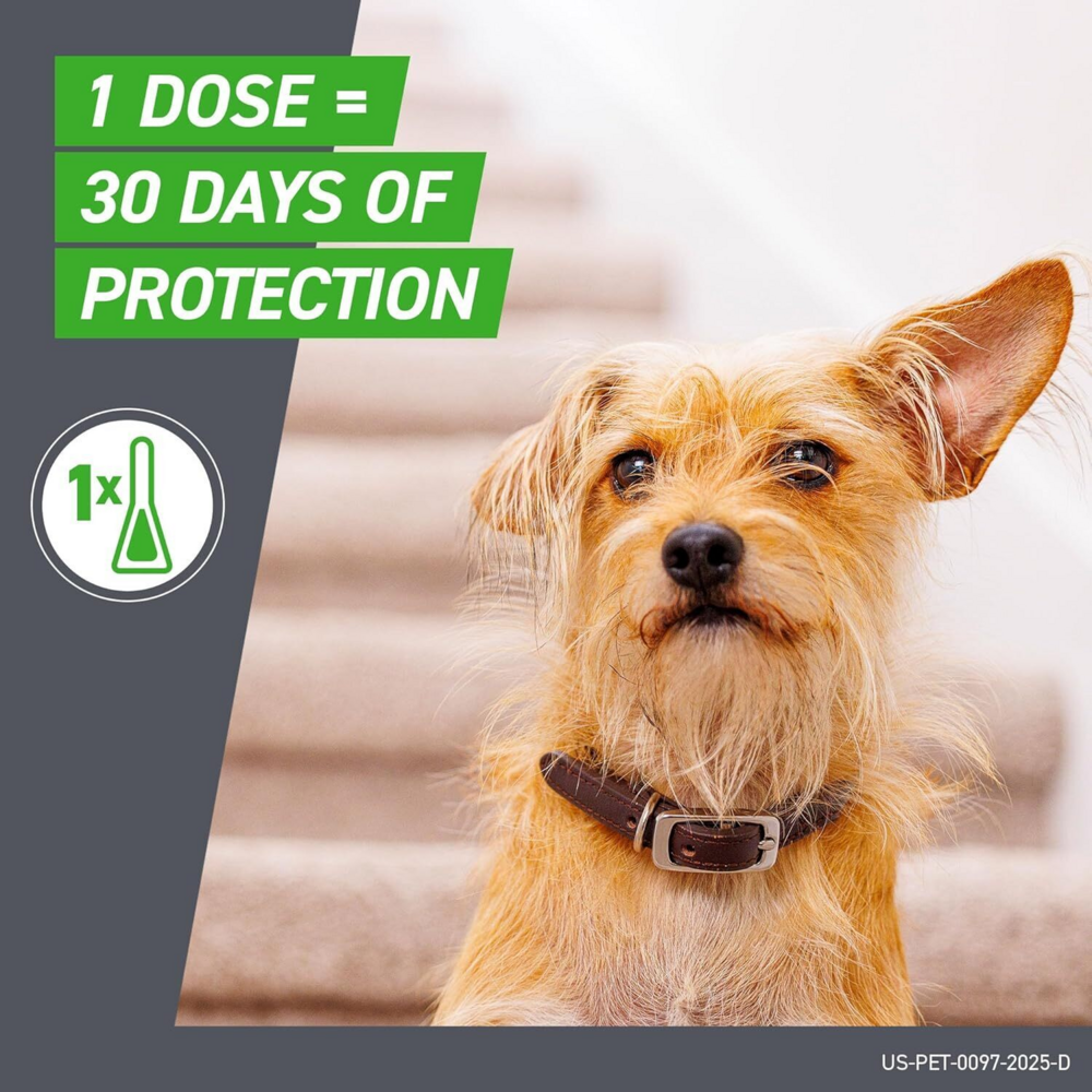 Frontline Plus for Dogs