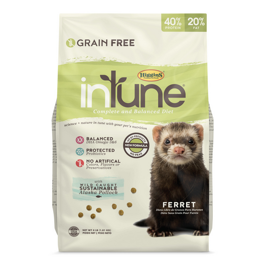 Higgins inTune Ferret Food