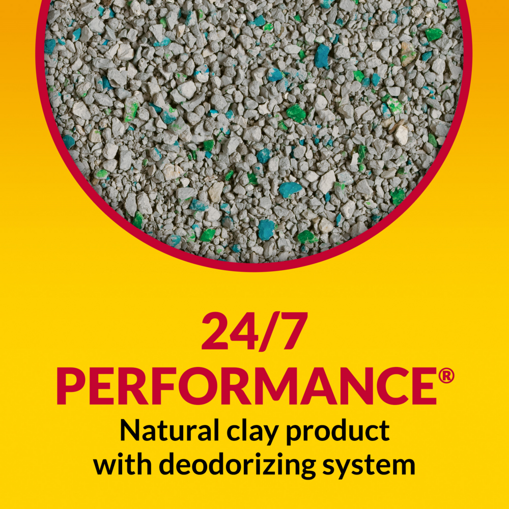 Tidy Cats Non Clumping Cat Litter, 24/7 Performance Multi Cat Litter Odor Control Formula
