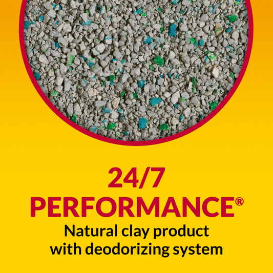 Tidy Cats Non Clumping Cat Litter, 24/7 Performance Multi Cat Litter Odor Control Formula