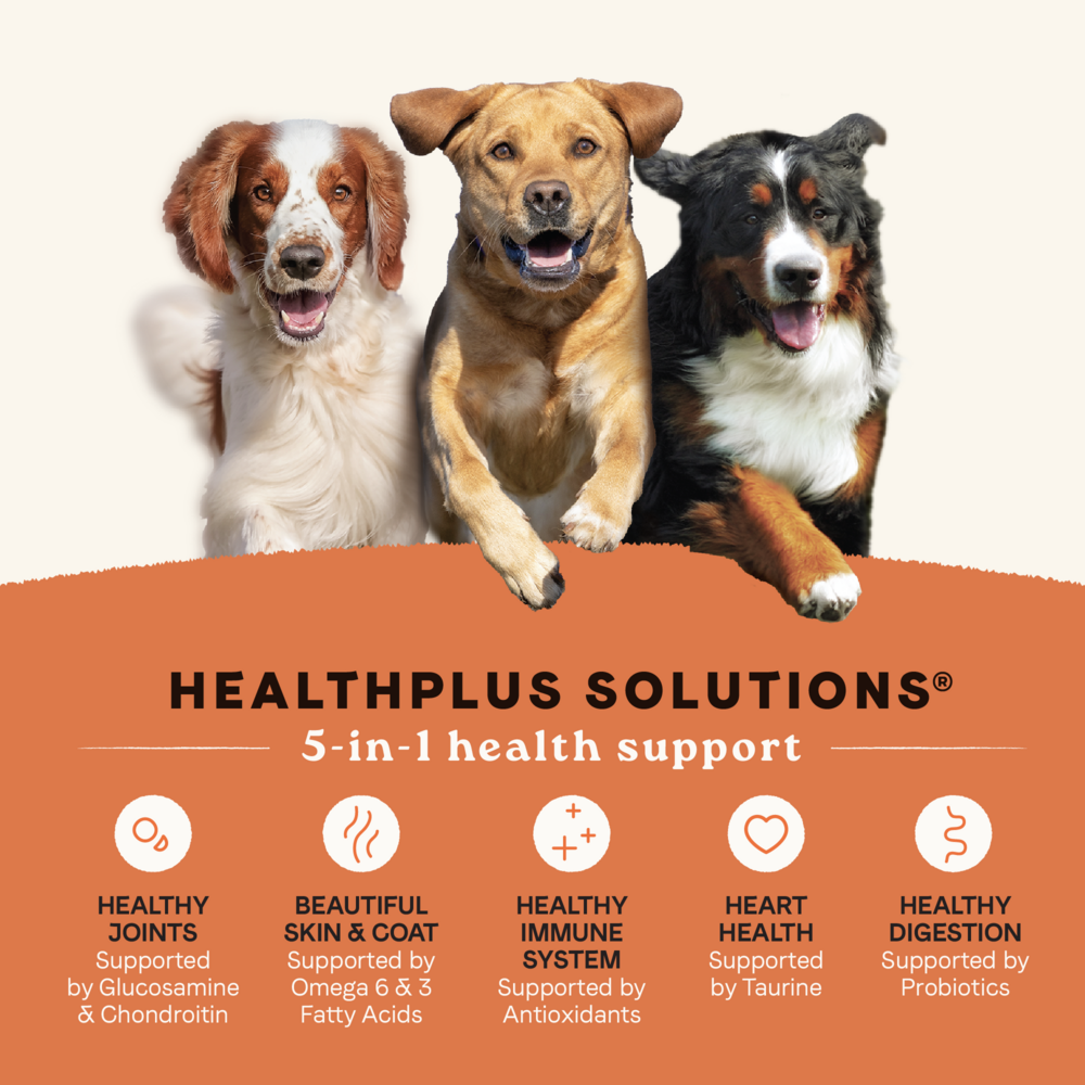 Canidae All Life Stages Dry Dog Food, High Protein Multi-Protein Recipe, 4 lbs.
