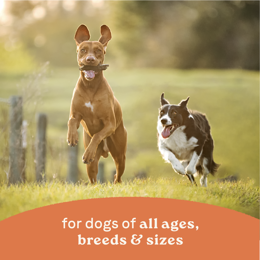 Canidae All Life Stages Wet Dog Food, Chunky Stew Toppers, Multi-Protein & Vegetable Recipe, 12.7 oz.