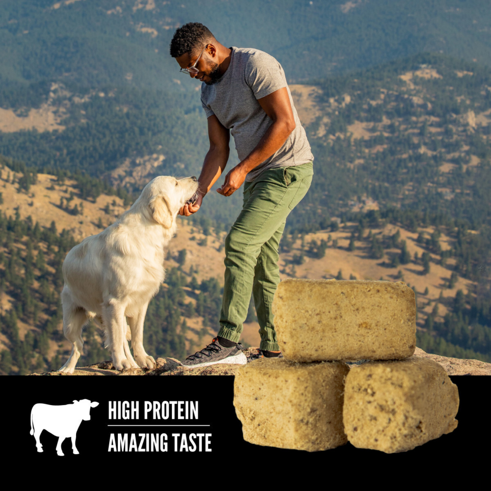 Orijen Freeze Dried Original Dog Treats