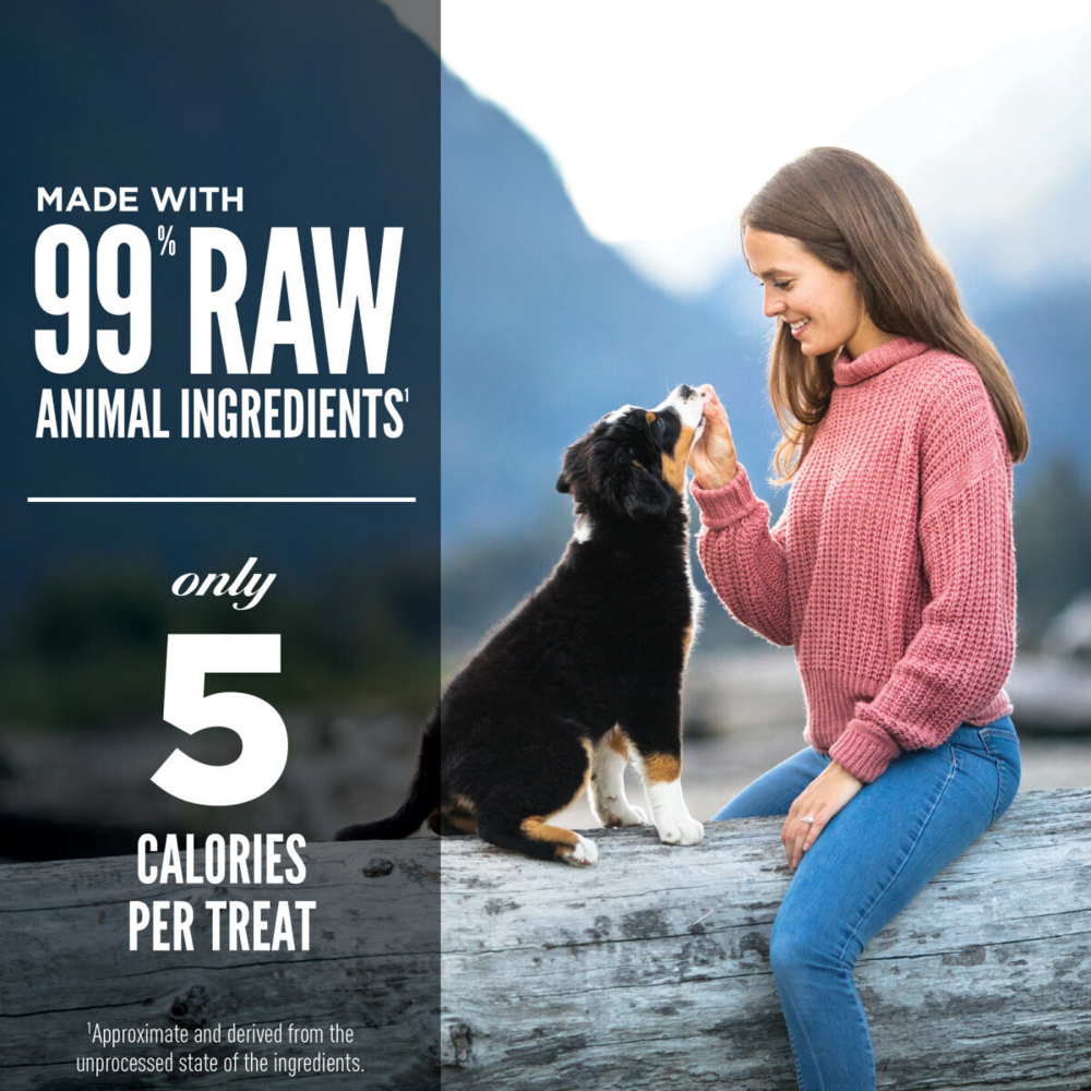 Orijen Freeze Dried Original Dog Treats