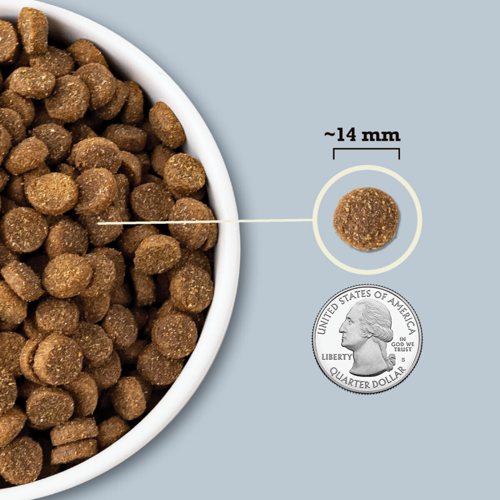 Acana Wholesome Grains Sea to Stream Fish & Grains Dry Dog Food Herring, Mackerel & Catfish