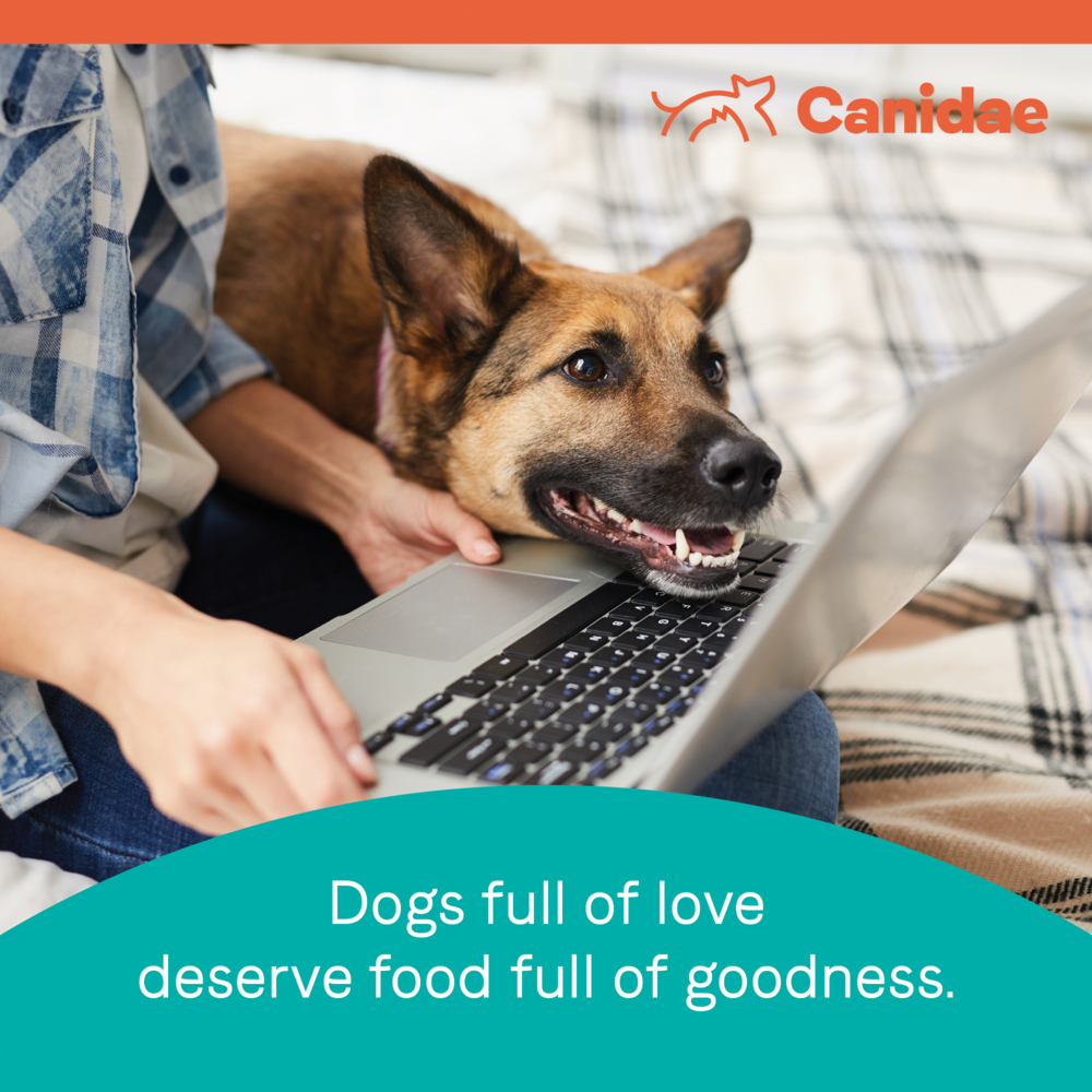 Canidae Pure Farm To Bowl Pasture-Raised Lamb & Sweet Potato Recipe Dog Food