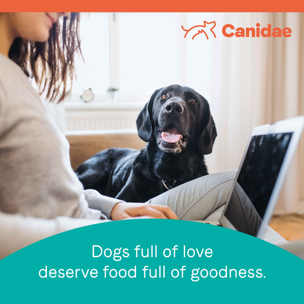 Canidae Pure Farm To Bowl Pasture-Raised Lamb & Sweet Potato Recipe Dog Food