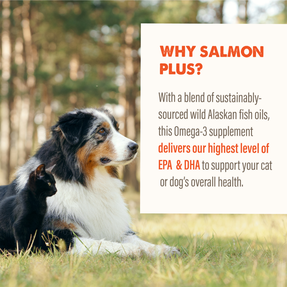 Grizzly Salmon Plus Omega 3-6-9 Food Supplement for Dogs and Cats