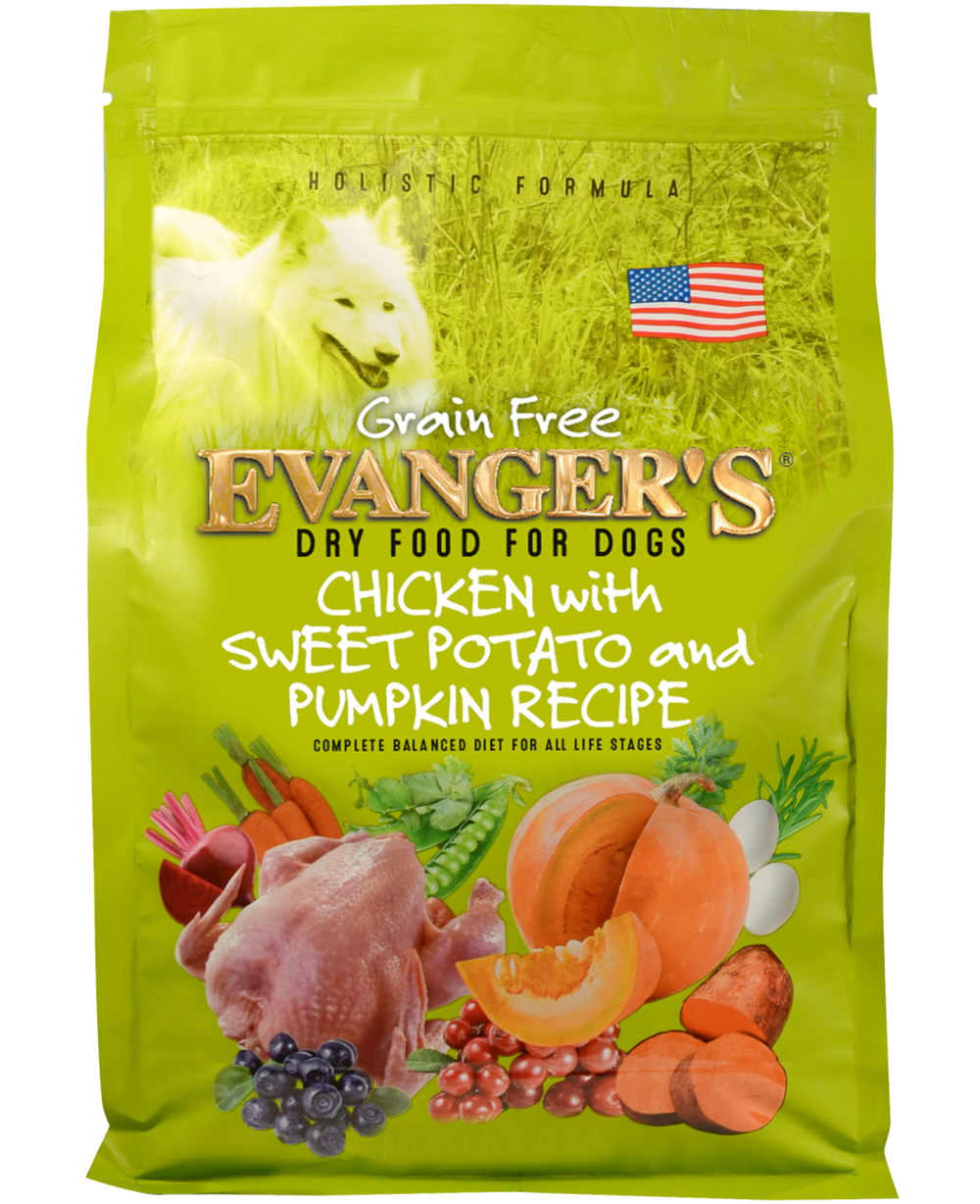 Evanger's Grain Free Chicken Sweet Potato and Pumpkin Dry Dog Food