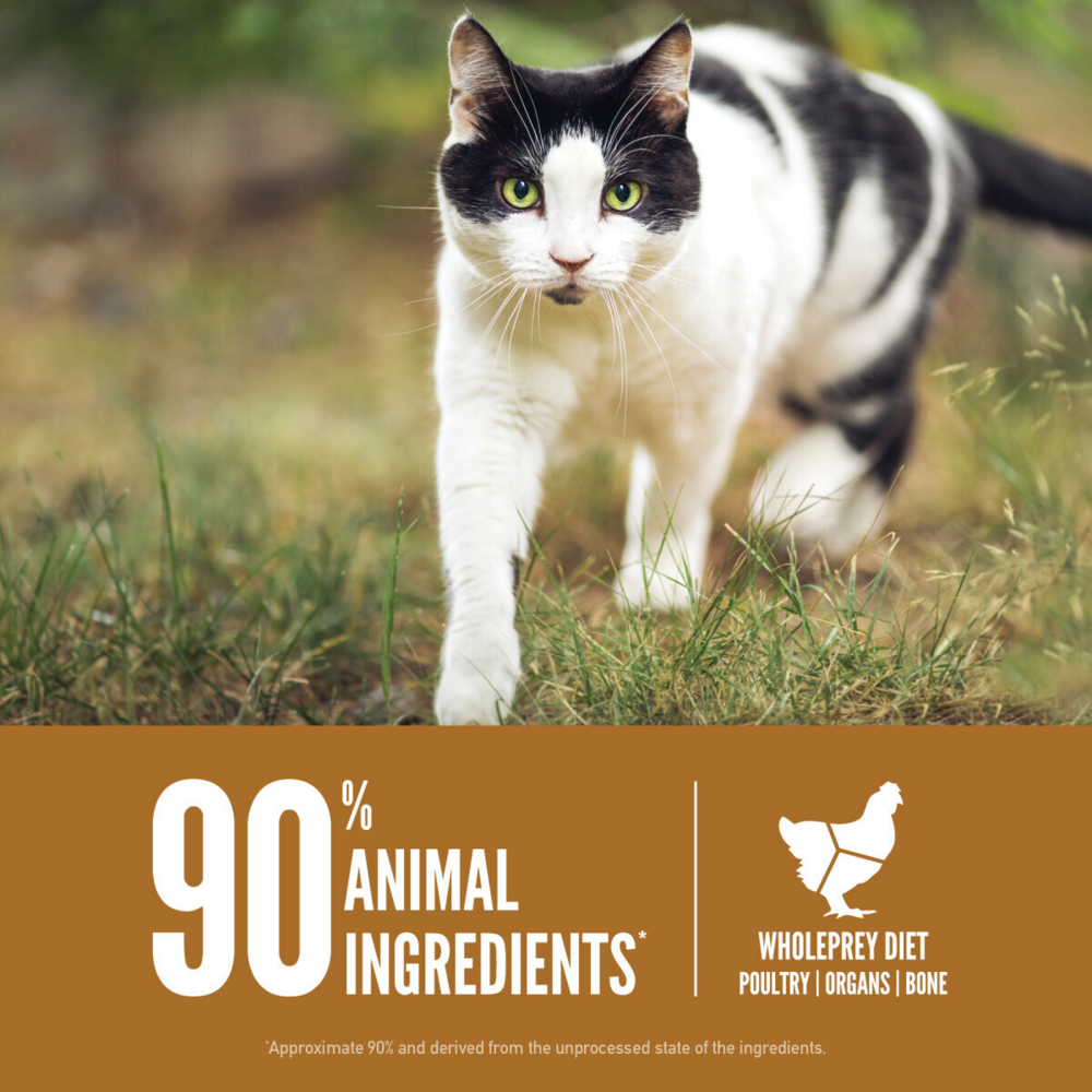 ORIJEN Original Cat Grain Free Dry Cat Food