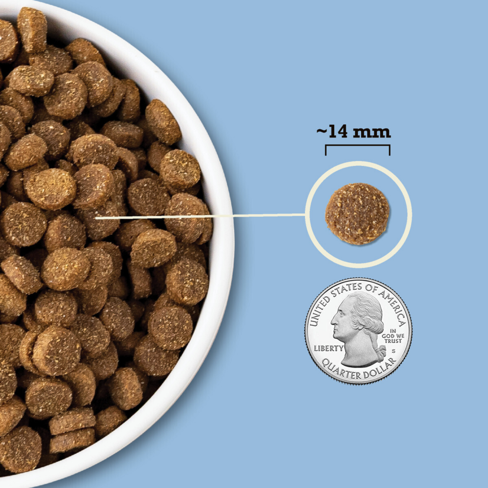 Acana Wholesome Grains, Duck & Pumpkin Recipe, Limited Ingredient Diet Dry Dog Food