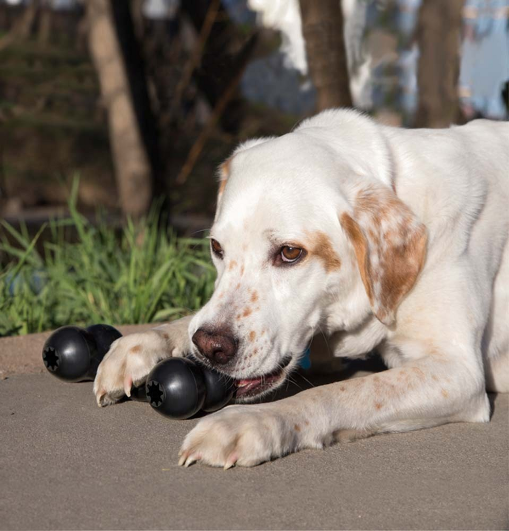 Kong Extreme Goodie Bone Dog Toy