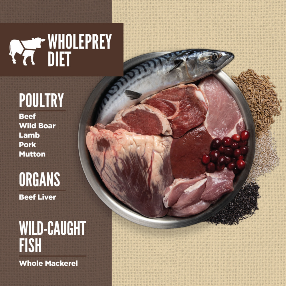 Orijen Amazing Grains Regional Red Dry Dog Food Beef, Boar, Lamb, Pork & Fish