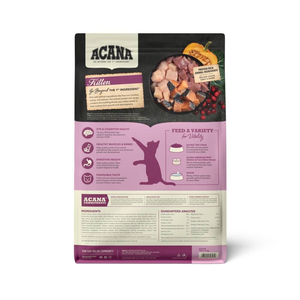 Acana Highest Protein Dry Food for Kittens