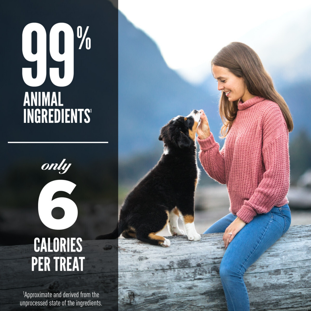 Orijen Freeze Dried Free Run Duck Dog Treats
