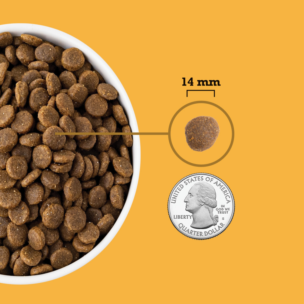 ACANA Free-Run Poultry Recipe Dry Dog Food