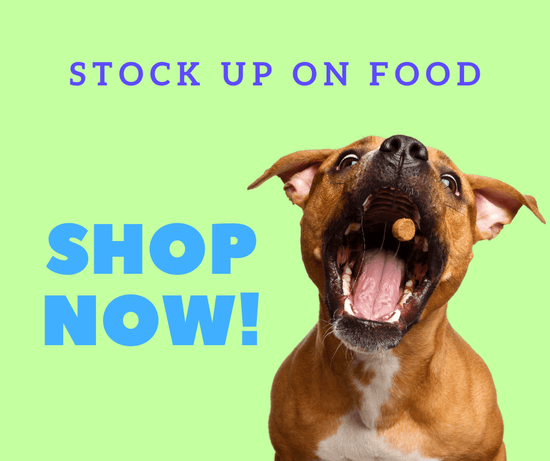  What's In Your Healthy dog food?