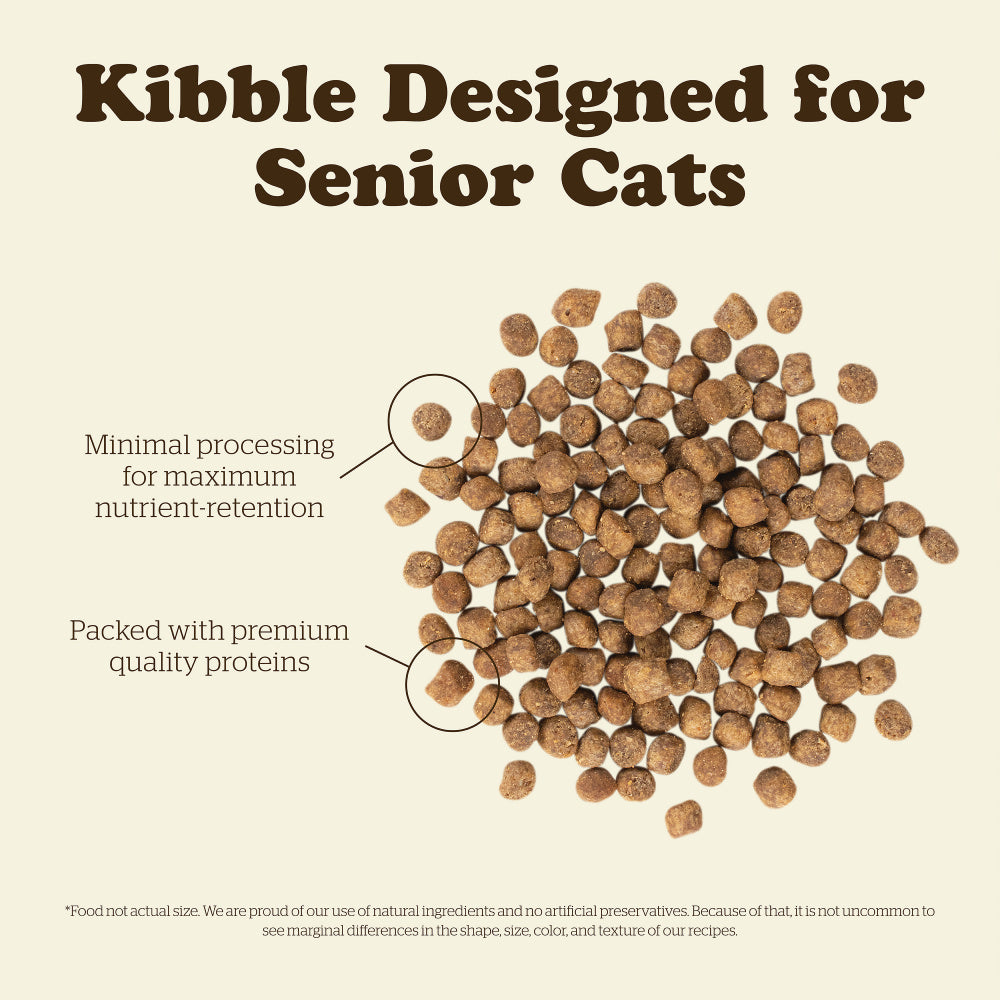 Petcurean Now! Fresh Grain Free Senior Recipe Dry Cat Food