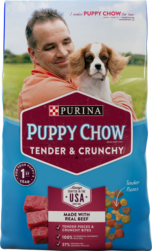 Purina Puppy Chow Tender and Crunchy Beef Recipe Dry Dog Food