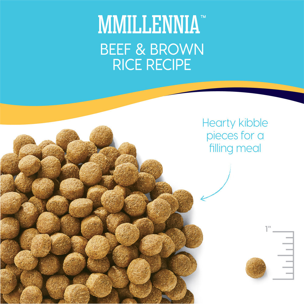 Solid Gold MMillenia Beef & Brown Rice Dry Dog Food