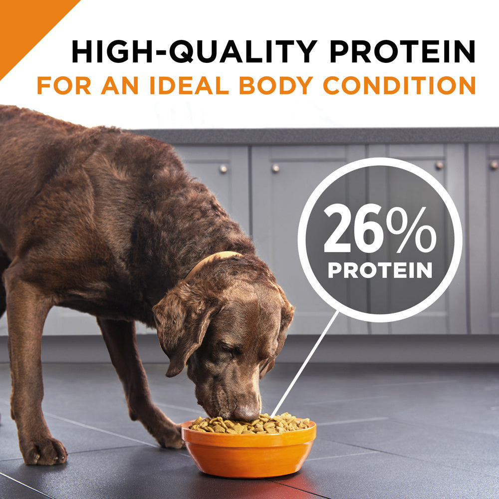 Purina Pro Plan Complete Essentials Adult Shredded Blend Beef & Rice Formula Dry Dog Food