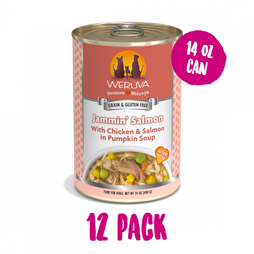 Weruva Jammin Salmon with Chicken & Salmon in Pumpkin Soup Canned Dog Food