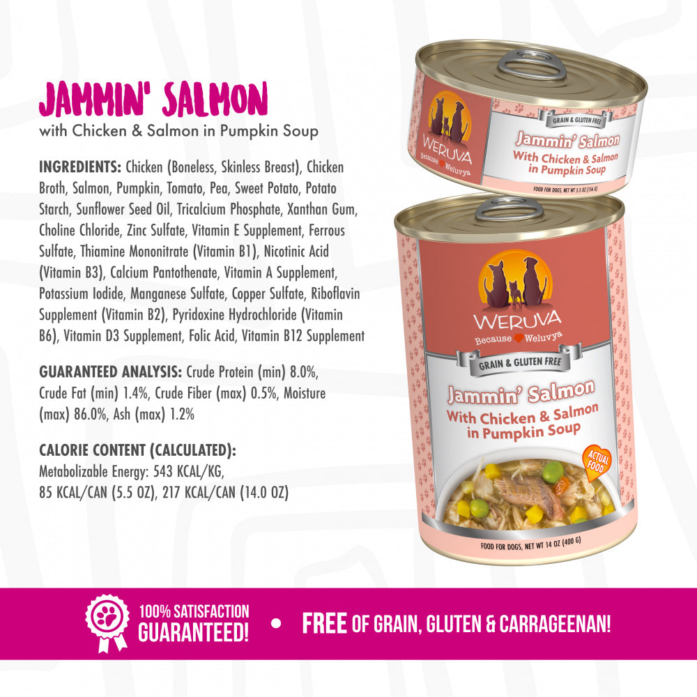 Weruva Jammin Salmon with Chicken & Salmon in Pumpkin Soup Canned Dog Food