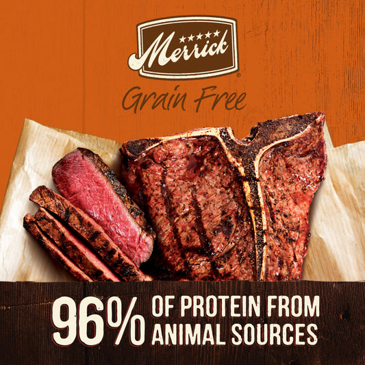 Merrick Grain Free Real Texas Beef Dinner Canned Dog Food