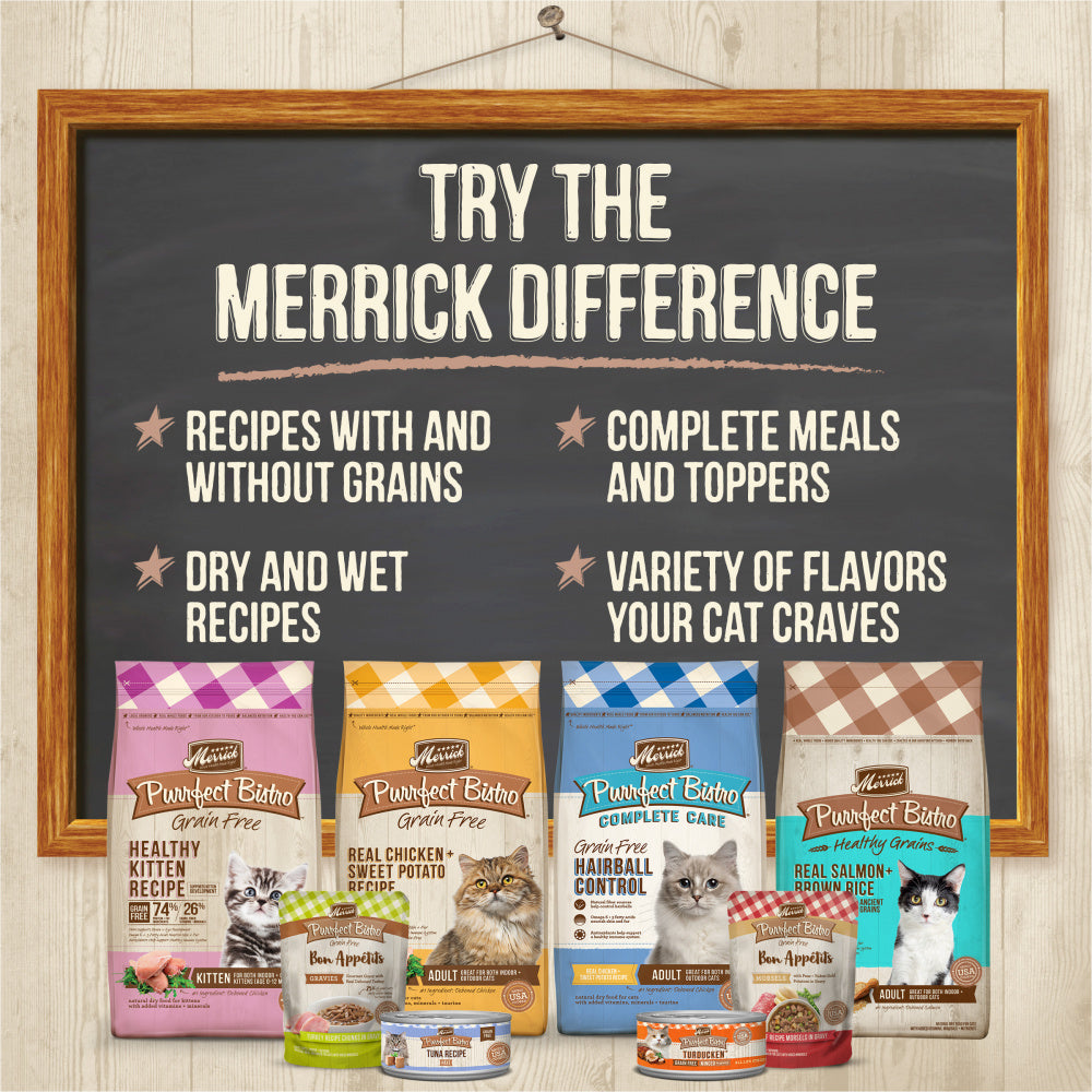 Merrick Purrfect Bistro Grain Free Wet Cat Food Beef Recipe Pate