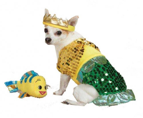 Zack and Zoey Lil Furrmaid Dog Costume