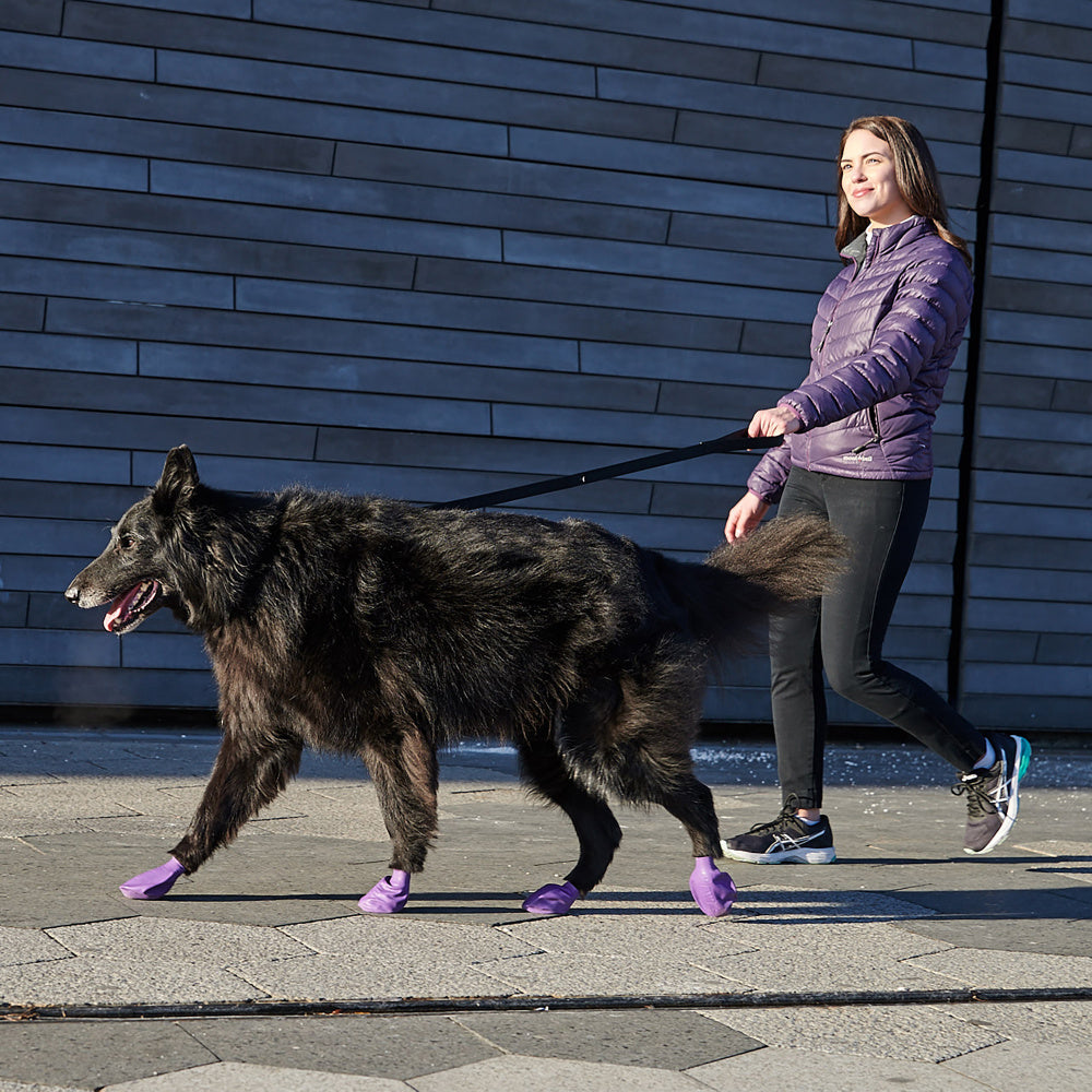 Pawz Waterproof Dog Boots