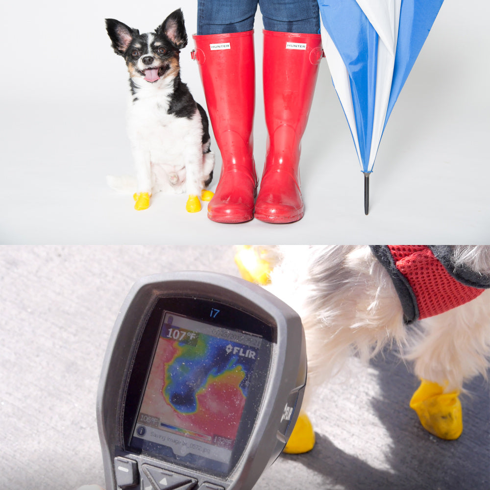 Pawz Waterproof Dog Boots