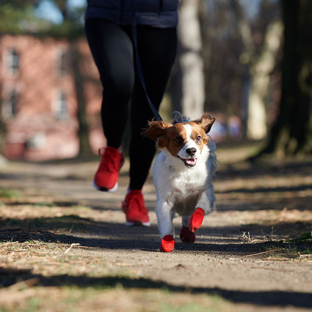 Pawz Waterproof Dog Boots