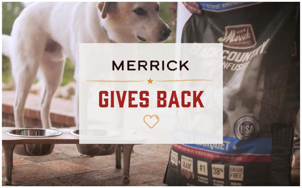 Merrick Backcountry Grain Free Hearty Duck and Venison Stew Canned Dog Food