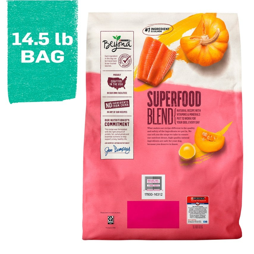 Purina Beyond Superfood Blend Salmon, Egg, and Pumpkin Recipe Dry Dog Food